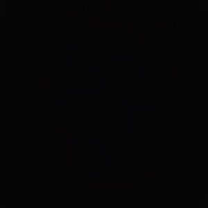 Meet your Posher, Gracie